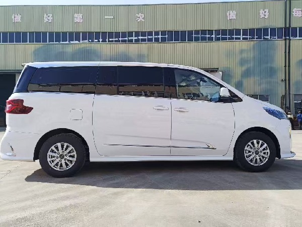 大通G10 自動擋檢測車(商務(wù)版) 大通G10 自動擋檢測車(商務(wù)版)